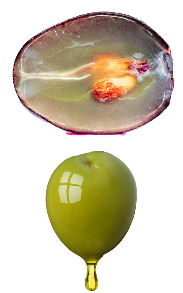 Wine & Health – On the Trail of Phenols