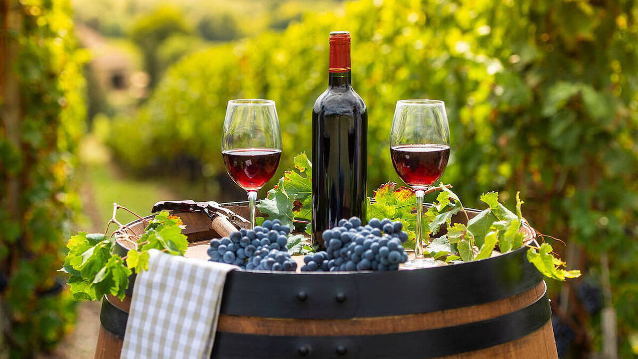 Wine Can Help Prevent Age-Related Decline
